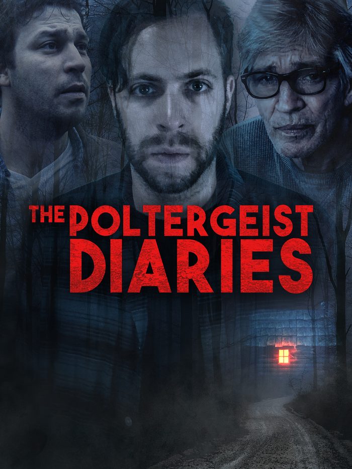 The Poltergeist Diaries poster