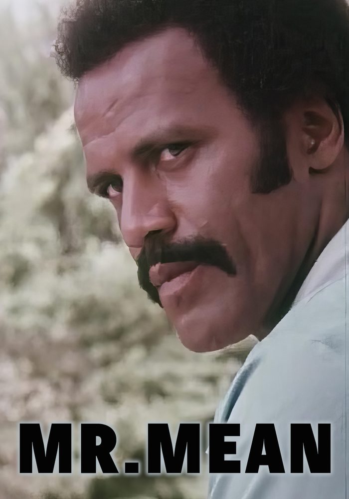 Mr. Mean poster