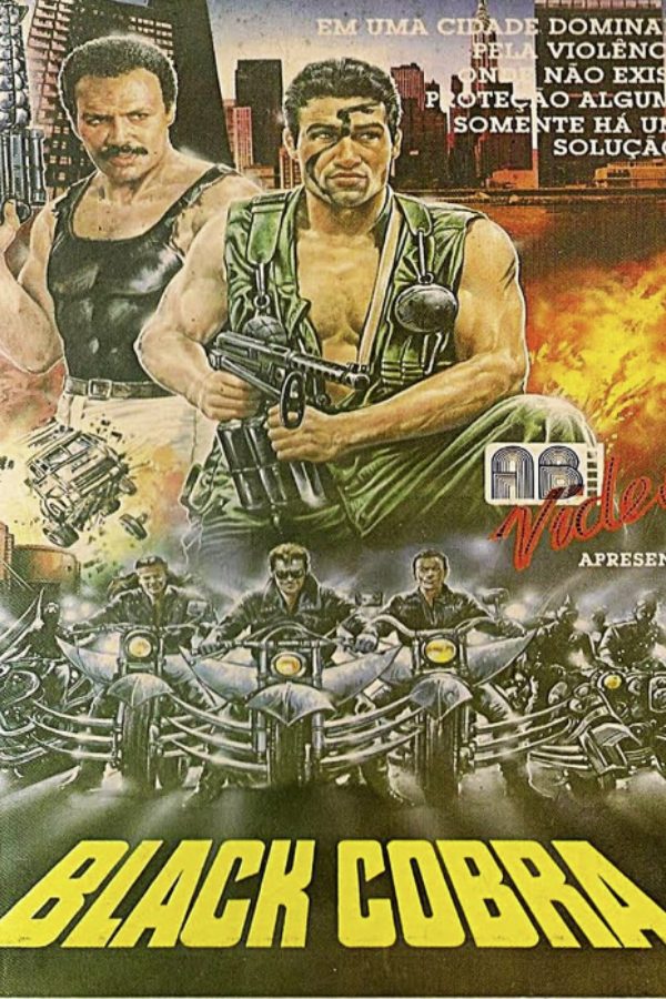Black Cobra poster