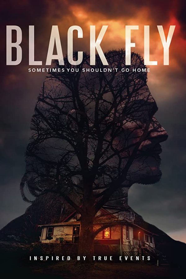 Black Fly poster