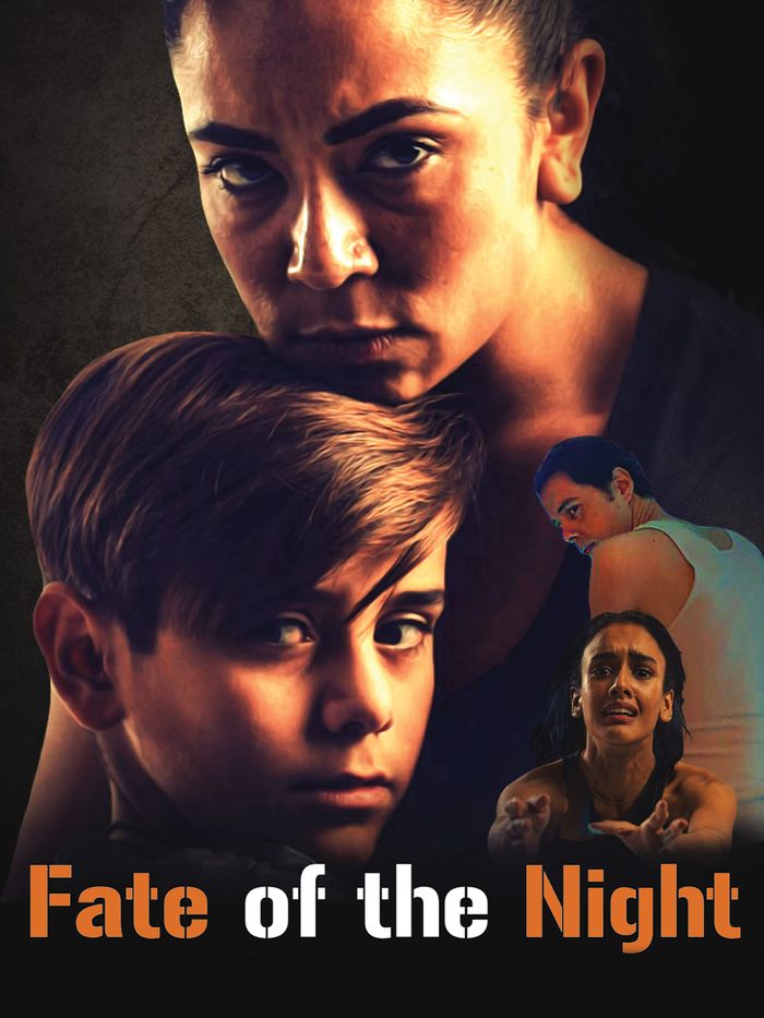 Fate of the Night poster