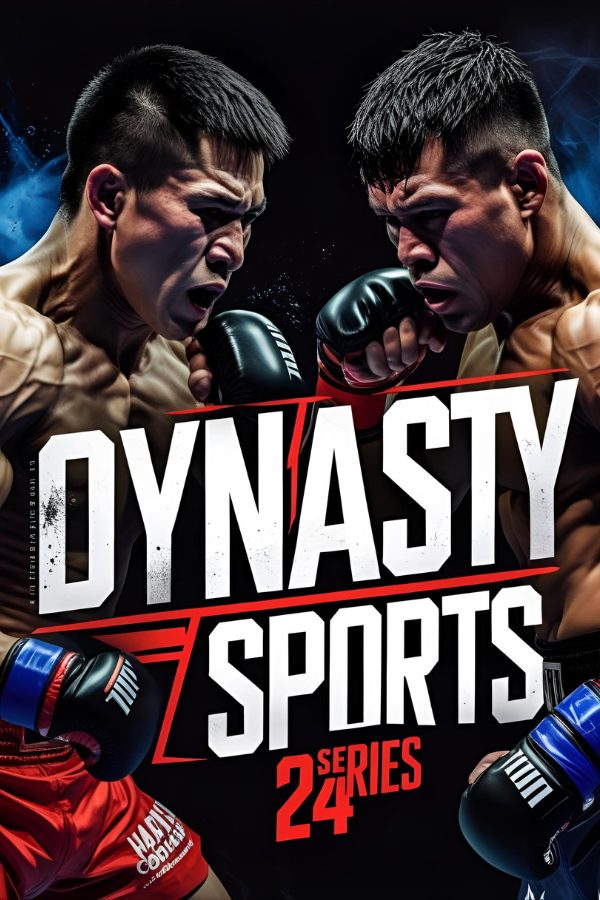 DCS 24 Series poster