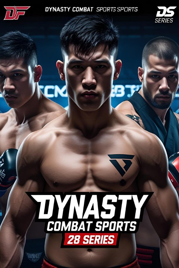 DCS 28 Series poster