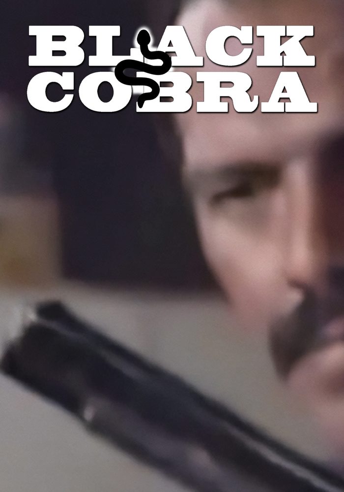 Black Cobra poster