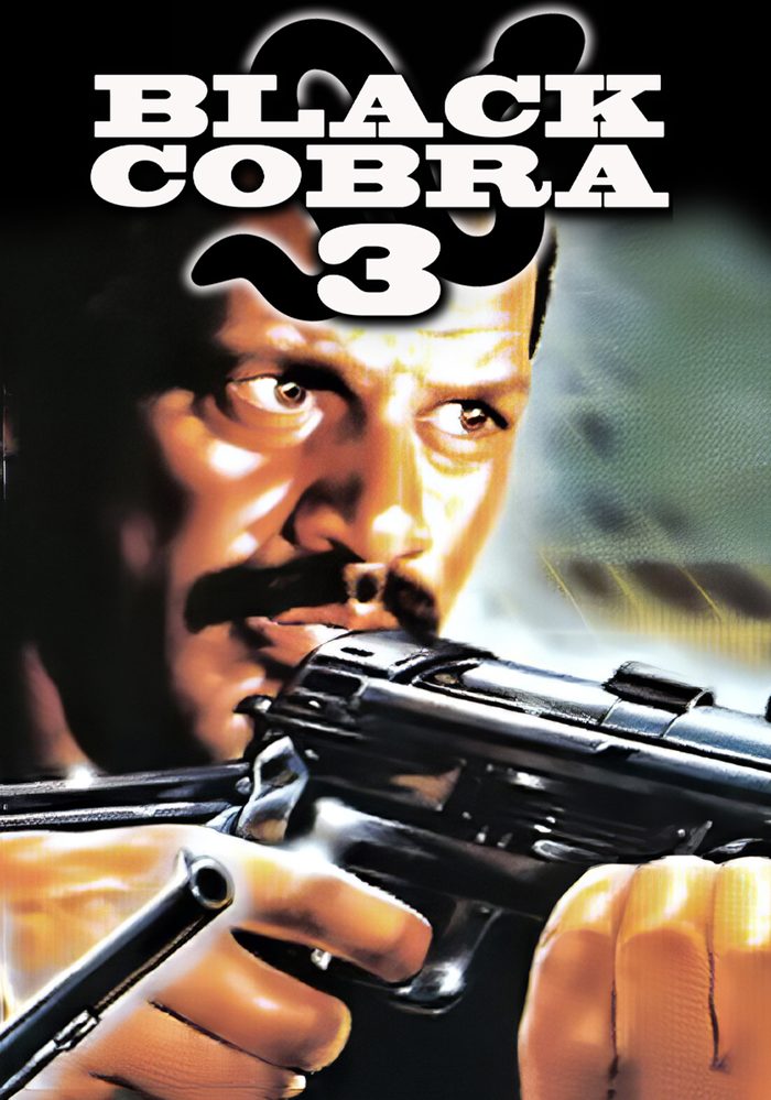 Black Cobra 3: The Manila Connection poster