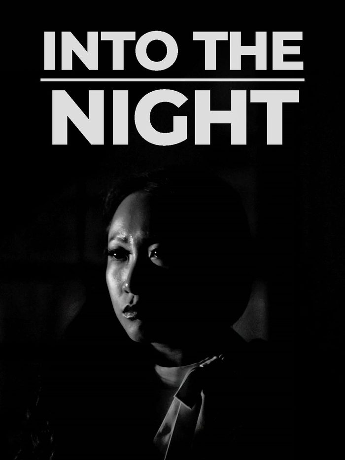 Into The Night poster