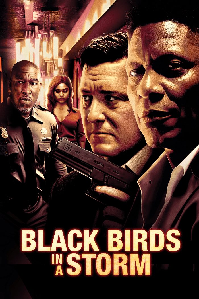 Black Birds In A Storm poster